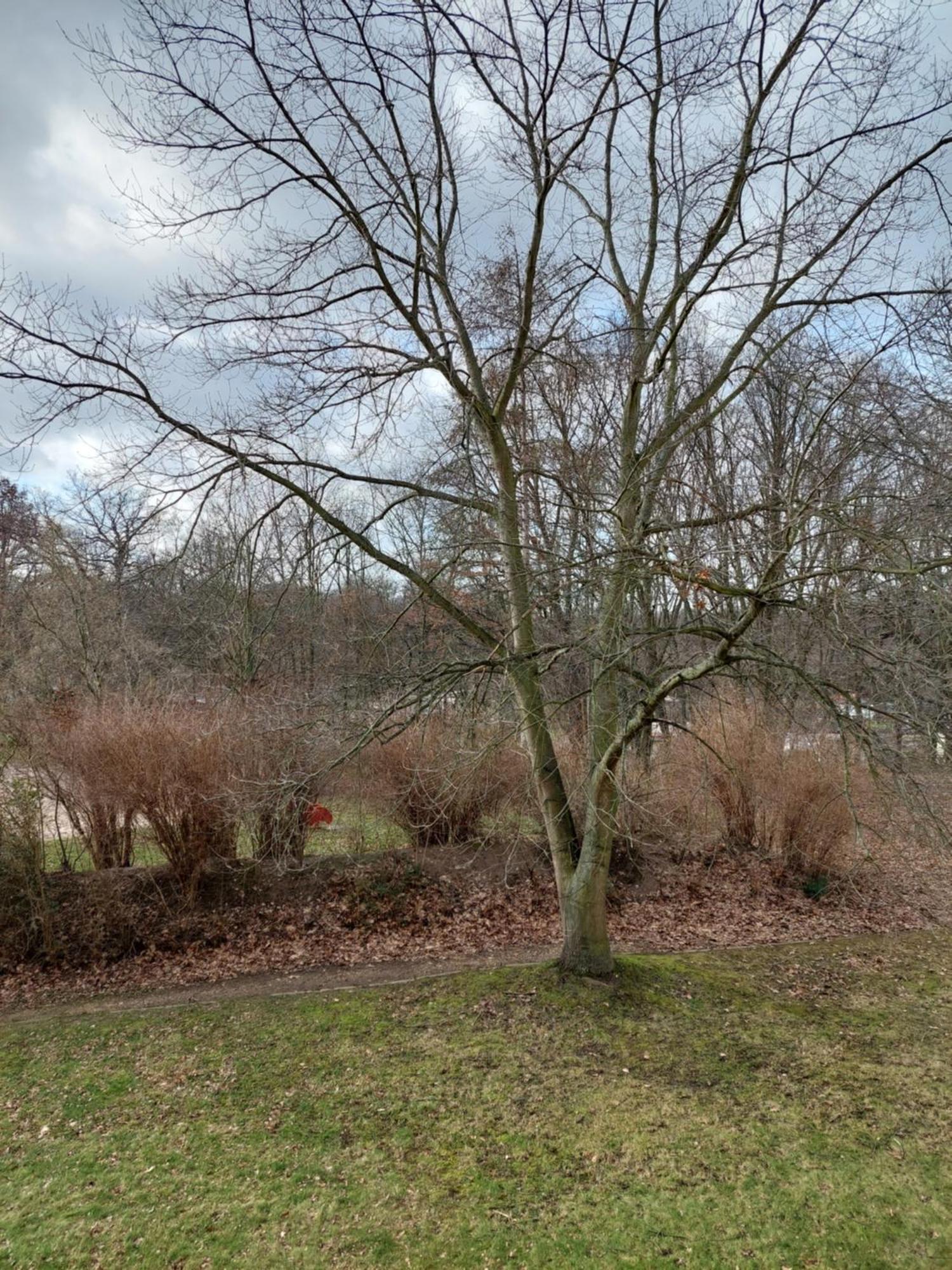 Ruheort Appartement Zwenkau Buitenkant foto